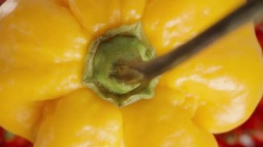 Sarı bir Habanero biberi, The Star of Turkey 'in kırmızı biberlerinin arka planına düşer. Dolly kaydırıcı aşırı yakın çekim.