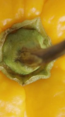 Dikey video. Sarı bir Habanero biberi, The Star of Turkey 'in kırmızı biberlerinin arka planına düşer. Dolly kaydırıcı aşırı yakın çekim.