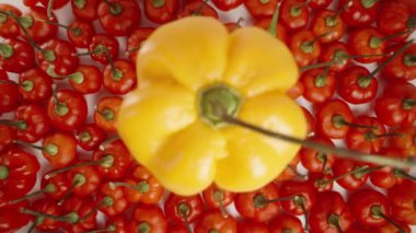 Sarı bir Habanero biberi, The Star of Turkey 'in kırmızı mini biberlerinin arka planında dönüyor. Yukarıdan bakıldığında, odak tekniği ön planı vurgular.