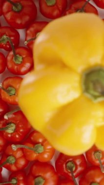 Dikey video. Sarı bir Habanero biberi, The Star of Turkey 'in kırmızı mini biberlerinin arka planında dönüyor. Yukarıdan bakıldığında, odaklanma tekniği ön plana vurgu yapıyor. Kaydırıcı