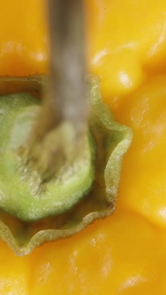 Vertical Video Top Close View Rotating Yellow Habanero Pepper — Stock Video