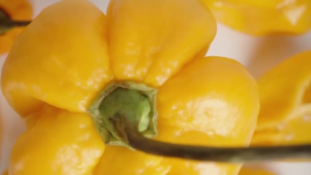 Ein Blick Von Oben Auf Einen Gelben Habanero Paprika Der — Stockvideo