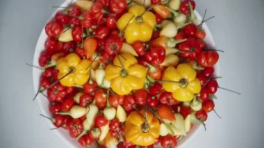 Habanero, The Star of Turkey ve biberiyeli mini biberler de dahil olmak üzere renkli biber karışımlı bir tabak, beyaz bir arka planda üst perdeden dönüyor..