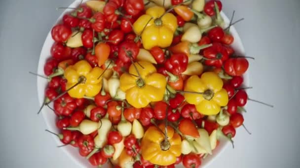 Een Bord Met Een Mengsel Van Kleurrijke Paprika Waaronder Habanero — Stockvideo