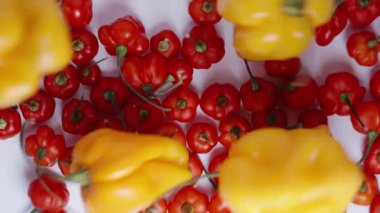 Türkiye Yıldızı 'nın kırmızı biberlerinin üzerine düşen sarı Habanero biberlerinin yavaş çekim görüntüsü yukarıdan geliyor..