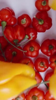 Dikey video. Türkiye Yıldızı 'nın kırmızı biberlerinin üzerine düşen sarı Habanero biberlerinin yavaş çekim görüntüsü yukarıdan geliyor..