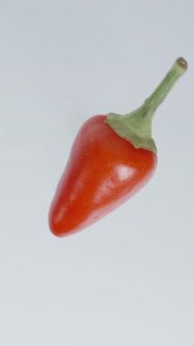 Dikey video. Beyaz arka planda dönen kırmızı biberiyeli kırmızı biberin yakın çekim alt görüntüsü, izole..