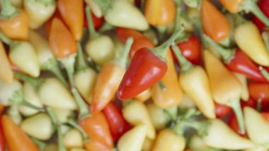 Arka planda kırmızı biber dönen çeşitli biberli biberlerin yukarıdan aşağıya bakışı.