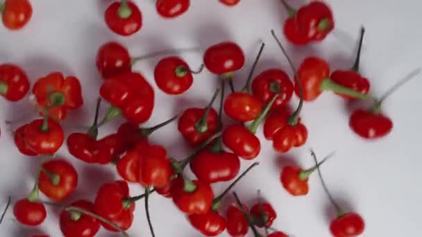 Paprika Mini Merah Dari Star Turkey Tersebar Meja Putih Tampilan — Stok Video