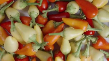 Kamera yavaşça geriye doğru hareket ediyor. Yukarıdan gelen çeşitli küçük kırmızı biber karışımı gibi..