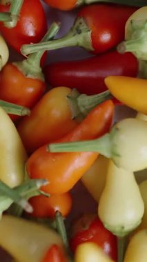 Dikey video. Kamera yavaşça geriye doğru hareket ediyor. Yukarıdan gelen çeşitli küçük kırmızı biber karışımı gibi..