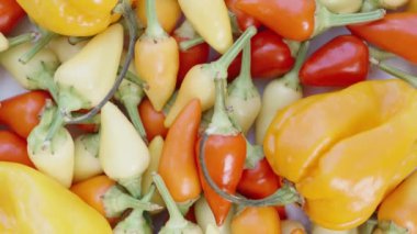 Karışık mini kırmızı biber ve Habanero biberi karışımı. Kaydırıcıyı yaklaştır. Yukarıdan aşağıya