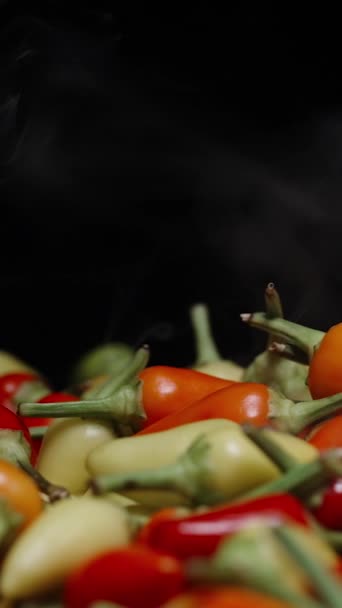 Verticale Video Veelkleurige Mini Chili Pepers Met Rook Een Zwarte — Stockvideo