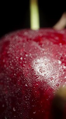 Dikey video. Kamera, vişneli böğürtlenleri siyah arka planda hareket ettiriyor. Dolly kaydırıcı aşırı yakın çekim.