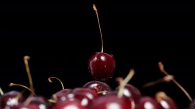 Bir kiraz, siyah arka planda bir avuç kirazın üzerinde döner..