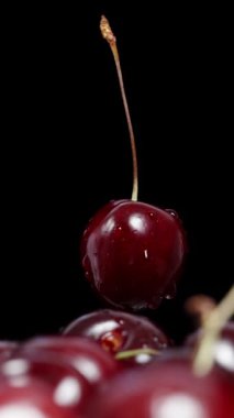 Dikey video. Bir kiraz, siyah arka planda bir avuç kirazın üzerinde döner..