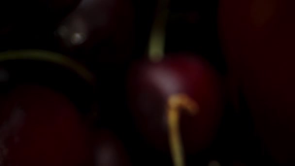 相机通过一簇樱桃进行导航 从内部拍摄特写 多莉滑翔机 — 图库视频影像
