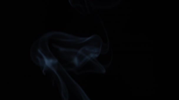 Glissades Fumée Isolées Dans Des Ruisseaux Minces Sur Fond Noir — Video