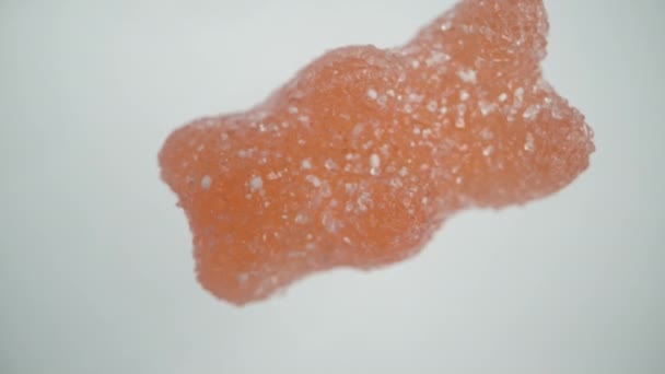 Ayı Şekeri Şeklindeki Şekerlerin Şekere Dönüşmesi Simülasyonu Beyaz Bir Arka — Stok video