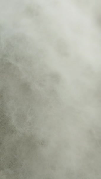 垂直录像 肮脏的南瓜 白色的背景覆盖着一层发霉的绒毛 多利滑翔机极端特写 — 图库视频影像