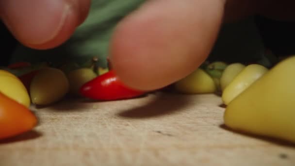 Çeşitli Küçük Renkli Biberlerden Kökler Kopartıyorum Dolly Kaydırıcı Aşırı Yakın — Stok video