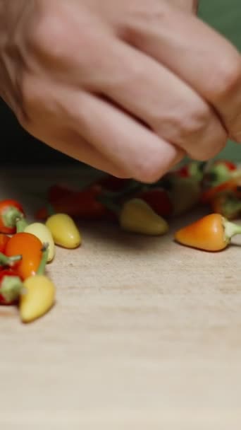 Vertical Video Plucking Stems Various Mini Colored Peppers Slider — Stock Video
