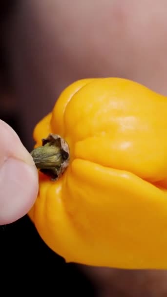 垂直录像 在特写镜头中 一个留着胡子的男人把一只黄色的哈巴内罗胡椒放在面前 做了个鬼脸 — 图库视频影像