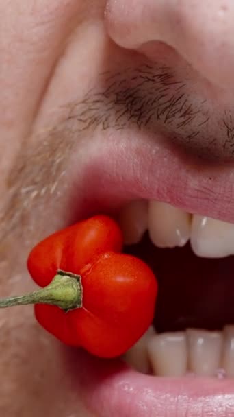 Vertical Video Close Shot Man Puts Mini Hot Red Pepper — Stock Video