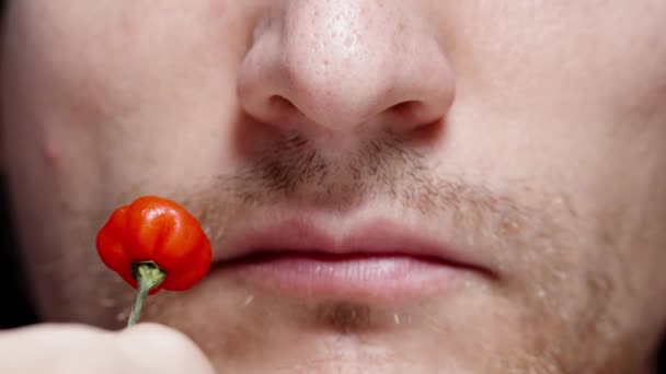 Close Shot Man Puts Mini Hot Red Pepper Star Turkey — Stock Video