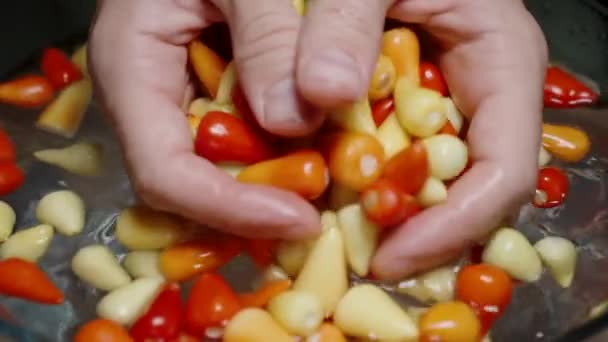 Mains Masculines Lavant Les Mini Piments Multicolores Dans Eau Ralenti — Video