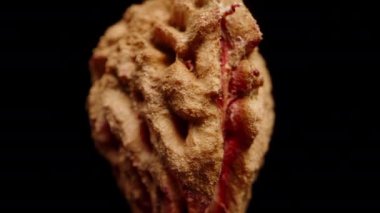 Bir nektarin çukuru döner ve geriye doğru hareket eder, siyah bir arkaplanda izole olur, makro zoom, düşme konsepti.