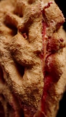 Dikey video. Bir nektarin çukuru döner ve geriye doğru hareket eder, siyah bir arkaplanda izole olur, makro zoom, düşme konsepti.