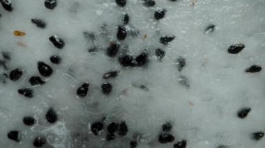 Beyaz tenli Pitaya ya da Ejderha Meyvesi 'nin yarısı siyah arka plan, düşen konsept ya da makro yakınlaştırma efekti üzerinde döner.