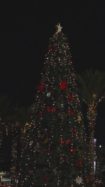 バーティカルビデオ クリスマスツリーとフェリスホイールでクリスマスに飾られた夜の熱帯都市 — ストック動画