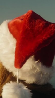Dikey video. Kırmızı Noel Baba şapkalı genç bir kadın deniz kenarında yeni yılın gündoğumunun tadını çıkarıyor..