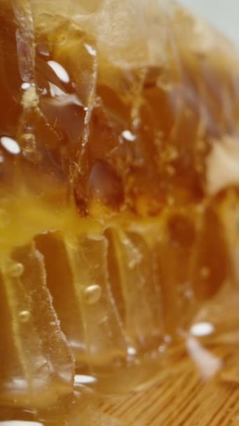 垂直录像 蜂蜜从蜂窝滴落在白色的背景上 相机在蜂窝之间滑行 宏观娃娃被拍了下来 — 图库视频影像