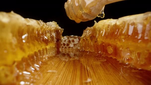 摄像机慢慢地穿过蜂窝 朝一个木制勺子移动 蜂蜜从勺子里滴了出来 宏观变焦 Dolly Shot — 图库视频影像
