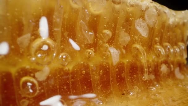 Мед Бульбашками Витікають Природних Гребінців Бджолиного Воску Макроповзунок — стокове відео