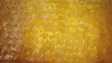 Bal damlaları yavaşça altın bal peteklerinin üzerine damlıyor, yakından..