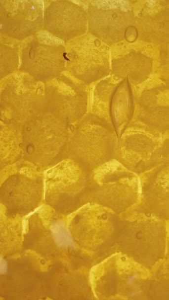 垂直录像 用蜂蜜滴着的真正的蜂窝的宏观镜头 金色的光芒 — 图库视频影像