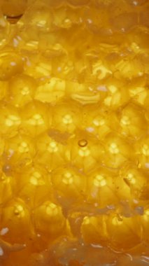 Dikey video. Bal damlacıkları doğal altın bal balmumu tarakları, makro manzara.