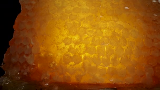 在黑暗中 蜂窝里的蜂蜜在木板上闪烁着金光 多利滑翔机极端特写 — 图库视频影像