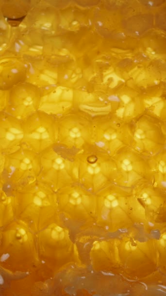 Vertikales Video Tropfen Honig Rieseln Die Natürlichen Goldenen Bienenwachswaben Herunter — Stockvideo
