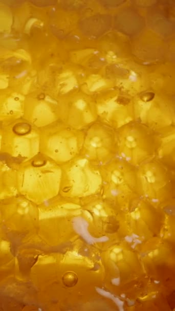 Vertikální Video Kapky Medu Stékající Přírodních Zlatých Voskových Plástech Makropohled — Stock video