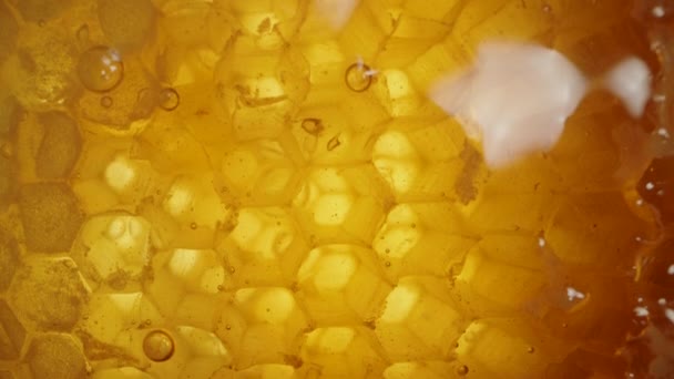Blick Von Oben Auf Goldene Waben Die Mit Honig Gefüllt — Stockvideo