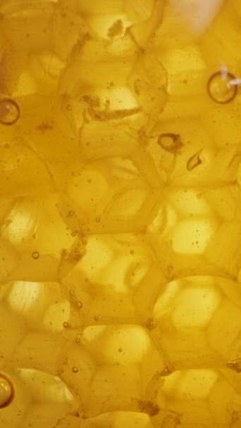 バーティカルビデオ 蜂蜜で満たされた黄金のハニカムのトップビュー ドリースライダー極端なクローズアップ — ストック動画