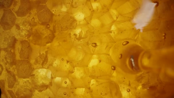 Honig Ergießt Sich Auf Natürliche Bienenwachswaben Makroaufnahme Zeitlupe — Stockvideo
