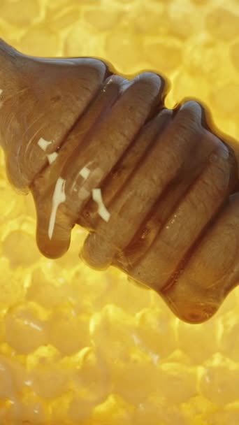 バーティカルビデオ 木のスプーンから滴る2滴の蜂蜜 ゆっくりとした動き 黄金のハニカムの背景に対して クローズアップ — ストック動画