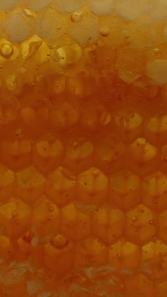 バーティカルビデオ 蜂蜜と蜂蜜の内部の泡で満たされた蜂蜜のワックス細胞 明るい黄金の光が通る マクロ — ストック動画