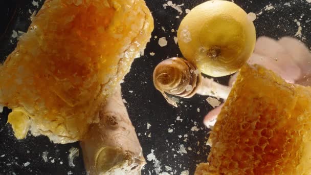 蜂窝中天然蜂蜜与柠檬与生姜的家庭医药概念 我用木勺采蜜 透过玻璃从下面看 — 图库视频影像